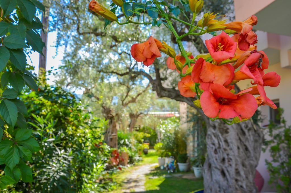 Villa Eden Thasos Extérieur photo